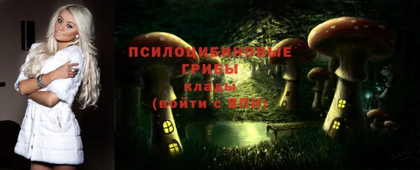 первитин Каменка