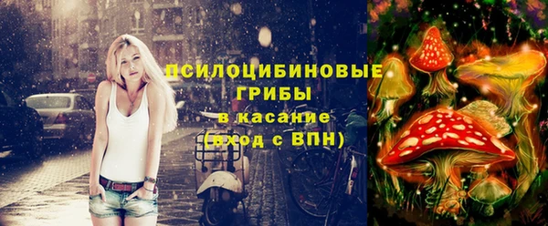 прущая мука Каменногорск