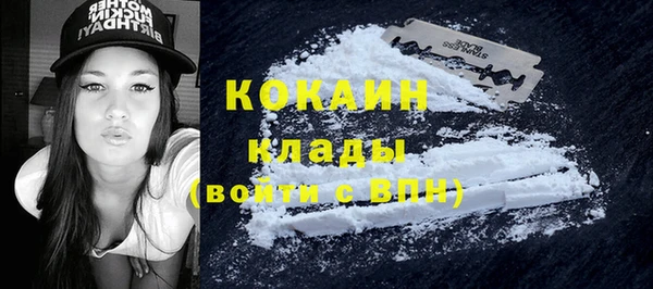 метадон Инта