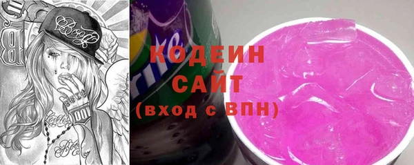 метадон Инта