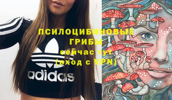 соль ск Каменск-Шахтинский