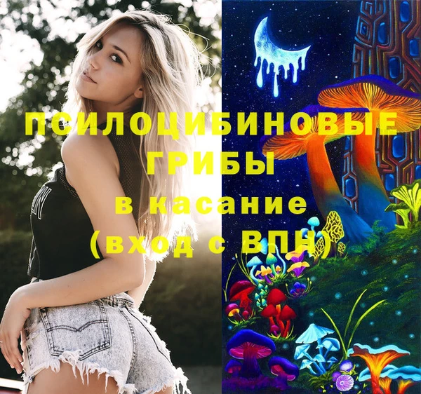 первитин Каменка