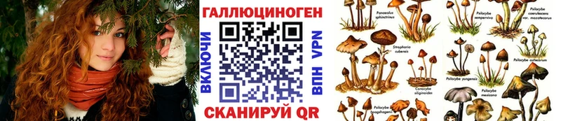 Купить закладки  Великий Устюг  Псилоцибиновые грибы Psilocybe 
